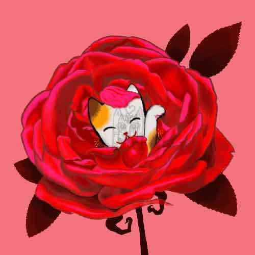 Cute Maneki Neko |  Lucky Cat in a Vibrant Rose | Good Fortune