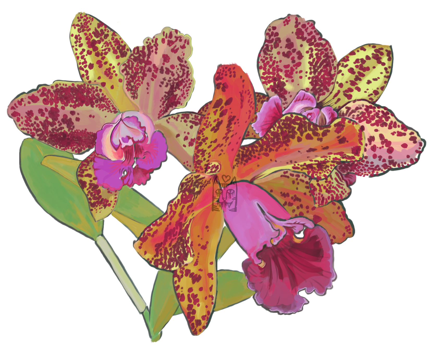 Waianae Leopard orchids | Notes, Digital Art & Process Video